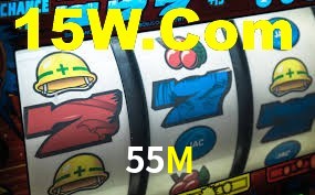 Programa VIP 55M